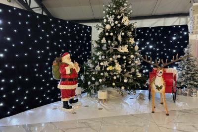 Voiture ancienne blanche stationnée devant une véranda moderne, entourée de végétation et d'arbres.