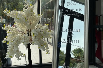 Voiture ancienne blanche stationnée devant une véranda moderne, entourée de végétation et d'arbres.