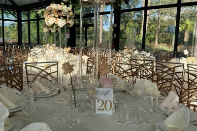 Voiture ancienne blanche stationnée devant une véranda moderne, entourée de végétation et d'arbres.