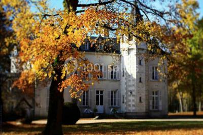 Location salle Diou (Indre) - Château De Dangy #20