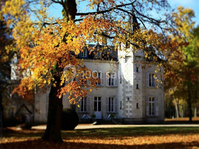 Location salle Diou (Indre) - Château De Dangy #6