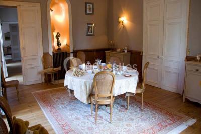 Location salle Diou (Indre) - Château De Dangy #20