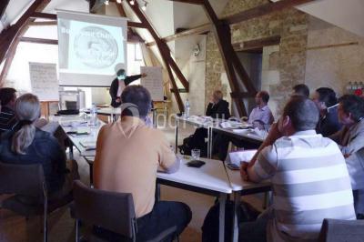 Location salle Diou (Indre) - Château De Dangy #20