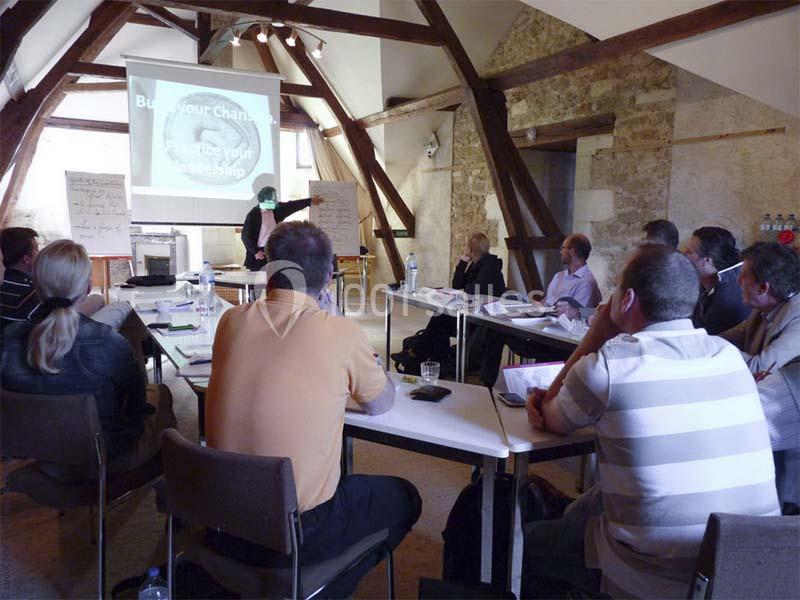 Location salle Diou (Indre) - Château De Dangy #3