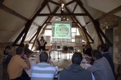 Location salle Diou (Indre) - Château De Dangy #20