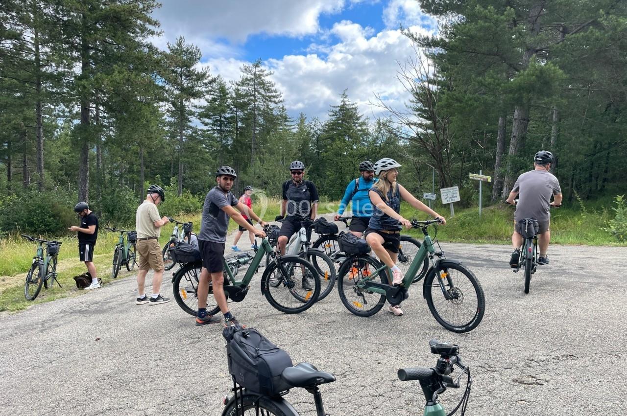 Un groupe de cyclistes à vélo électrique s'arrête sur une route entourée de forêt sous un ciel partiellement nuageux.