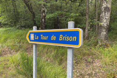 Part de gâteau au caramel décorée d'une fleur jaune, accompagnée de chantilly, servie sur une ardoise noire.