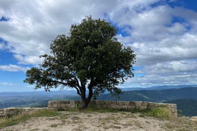Part de gâteau au caramel décorée d'une fleur jaune, accompagnée de chantilly, servie sur une ardoise noire.