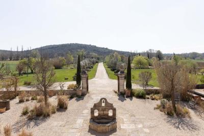 Arbuste dense à feuillage vert brillant à côté d'un arbre taillé, dans un jardin ensoleillé avec pelouse et végétation.