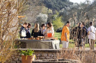 Arbuste dense à feuillage vert brillant à côté d'un arbre taillé, dans un jardin ensoleillé avec pelouse et végétation.