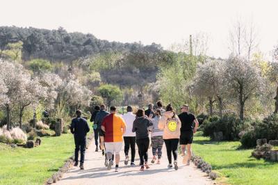 Arbuste dense à feuillage vert brillant à côté d'un arbre taillé, dans un jardin ensoleillé avec pelouse et végétation.