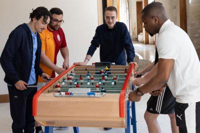 Arbuste dense à feuillage vert brillant à côté d'un arbre taillé, dans un jardin ensoleillé avec pelouse et végétation.