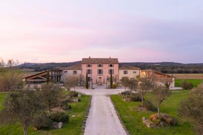 Arbuste dense à feuillage vert brillant à côté d'un arbre taillé, dans un jardin ensoleillé avec pelouse et végétation.