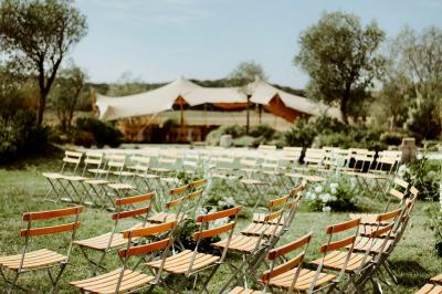 Arbuste dense à feuillage vert brillant à côté d'un arbre taillé, dans un jardin ensoleillé avec pelouse et végétation.