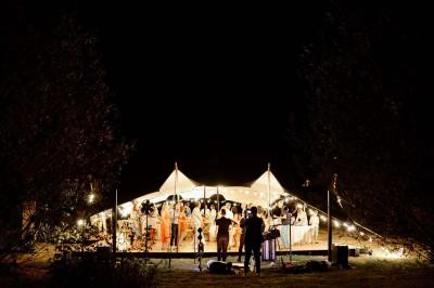 Arbuste dense à feuillage vert brillant à côté d'un arbre taillé, dans un jardin ensoleillé avec pelouse et végétation.