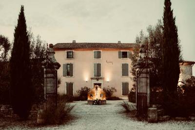 Arbuste dense à feuillage vert brillant à côté d'un arbre taillé, dans un jardin ensoleillé avec pelouse et végétation.