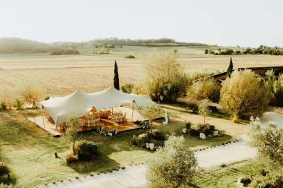 Arbuste dense à feuillage vert brillant à côté d'un arbre taillé, dans un jardin ensoleillé avec pelouse et végétation.