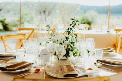 Arbuste dense à feuillage vert brillant à côté d'un arbre taillé, dans un jardin ensoleillé avec pelouse et végétation.