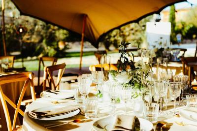 Arbuste dense à feuillage vert brillant à côté d'un arbre taillé, dans un jardin ensoleillé avec pelouse et végétation.
