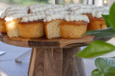 Arbuste à feuillage dense à gauche et arbre taillé à droite dans un jardin verdoyant sous un ciel clair.