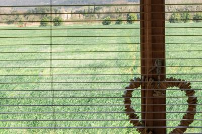 Arbuste à feuillage dense à gauche et arbre taillé à droite dans un jardin verdoyant sous un ciel clair.