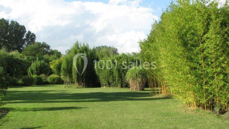 Pelouse verdoyante entourée de bosquets de bambous et d'arbres sous un ciel partiellement nuageux.