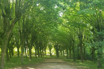 Pièce montée en choux et caramel décorée de dentelle de sucre, d'une rose blanche et d'une inscription personnalisée.