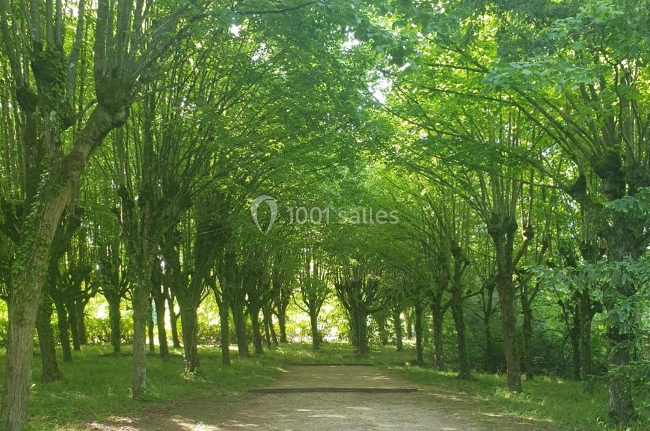 Allée bordée d'arbres aux feuillages verts formant une voûte naturelle, éclairée par la lumière du jour.