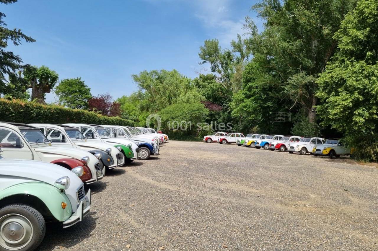 Rangée de voitures anciennes colorées stationnées sur un parking en gravier entouré de végétation.