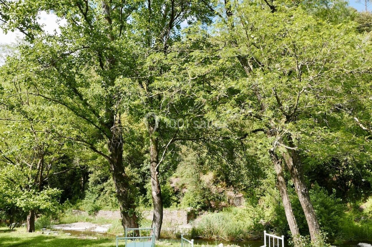 Deux lits de jardin blancs placés sur une pelouse verte, entourés d'arbres et d'un paysage naturel.