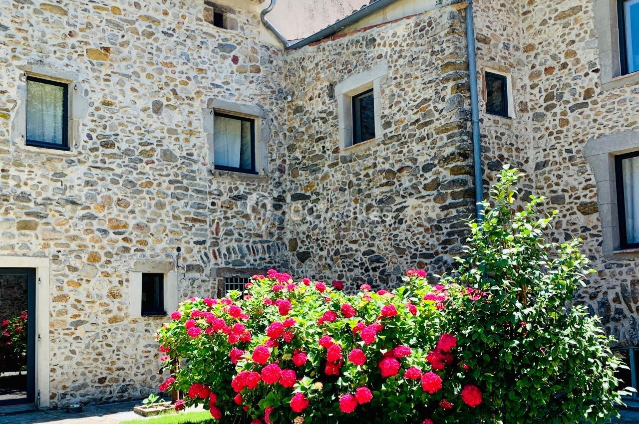 Cour intérieure ensoleillée avec des murs en pierre, des fenêtres et un massif de roses rouges en pleine floraison.