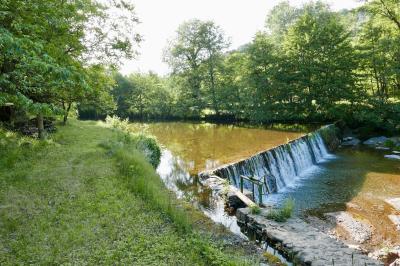 Table décorée pour un événement, avec nappes blanches, fleurs, bougies et couverts dorés dans un cadre extérieur.