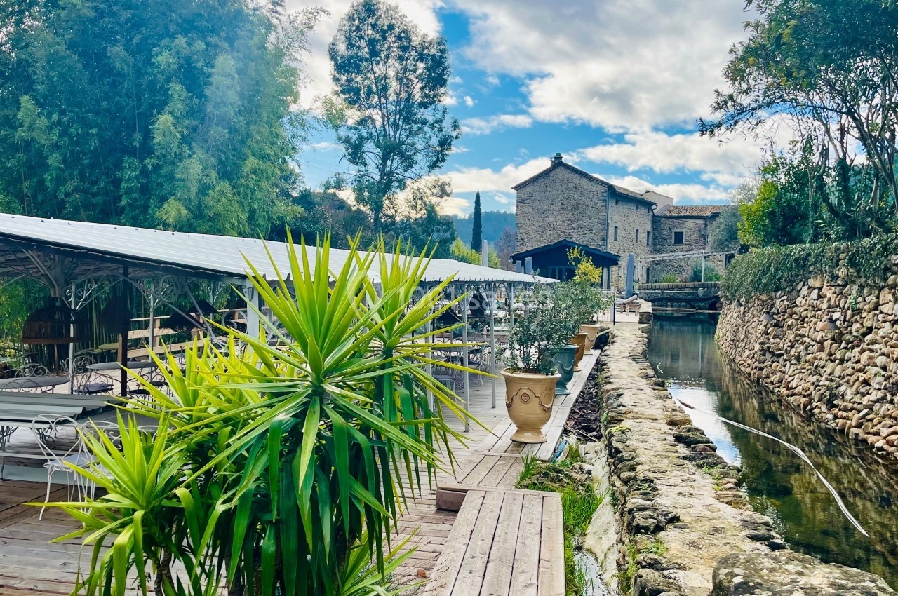 Terrasse en bois bordée de plantes, longeant un canal avec des bâtiments en pierre et des arbres en arrière-plan.
