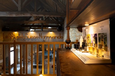 Chambre chaleureuse avec lits, canapé, fauteuils en osier, table basse et éclairage tamisé, décor rustique.