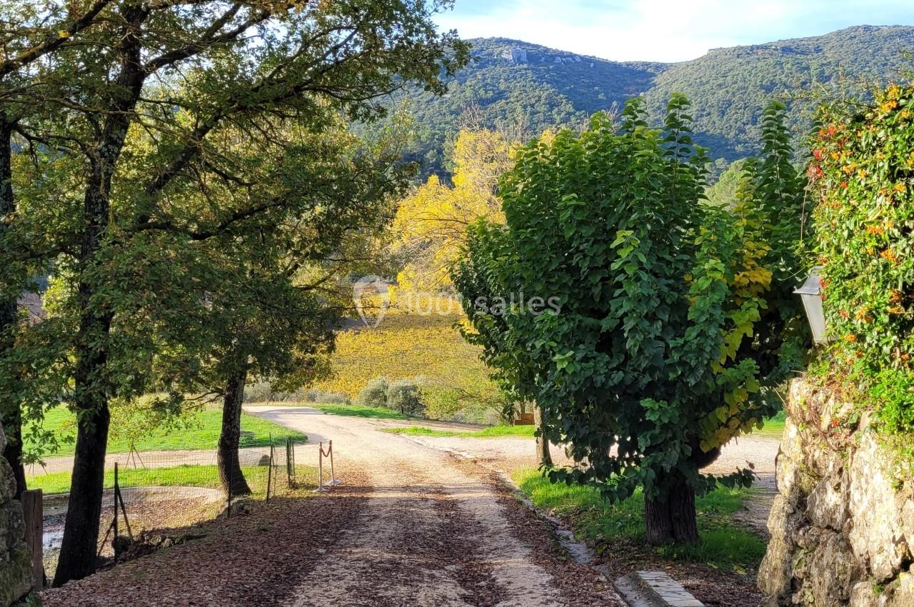 Chemin bordé d'arbres et de murs en pierre menant à un paysage vallonné avec des collines boisées en arrière-plan.