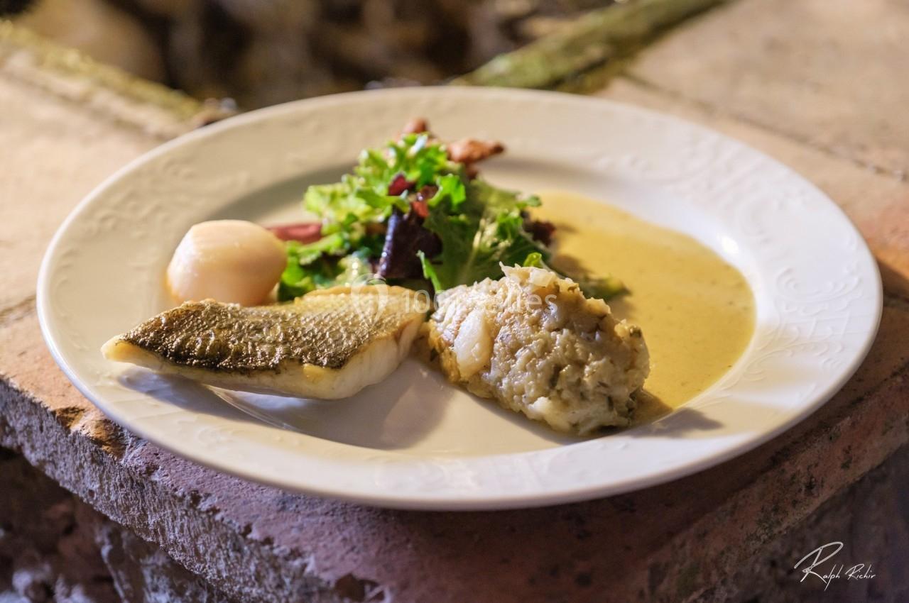 Assiette contenant un filet de poisson, une noix de Saint-Jacques, une purée et une salade verte, servie sur une table…