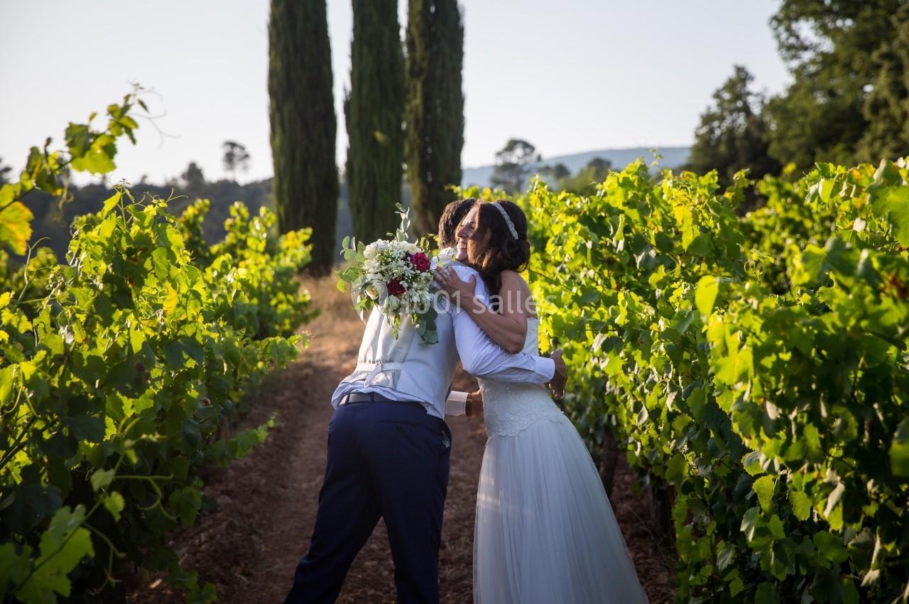 Un couple en tenue de mariage s'embrasse dans un vignoble, entouré de vignes et de cyprès sous une lumière douce.