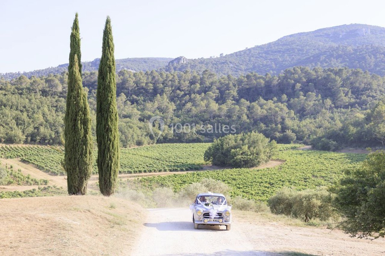 Une voiture ancienne roule sur un chemin de terre entouré de vignes et de collines boisées sous un ciel clair.
