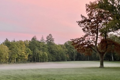 Salle de restaurant lumineuse avec tables dressées, banquettes vertes, chaises blanches et vue sur un jardin arboré.