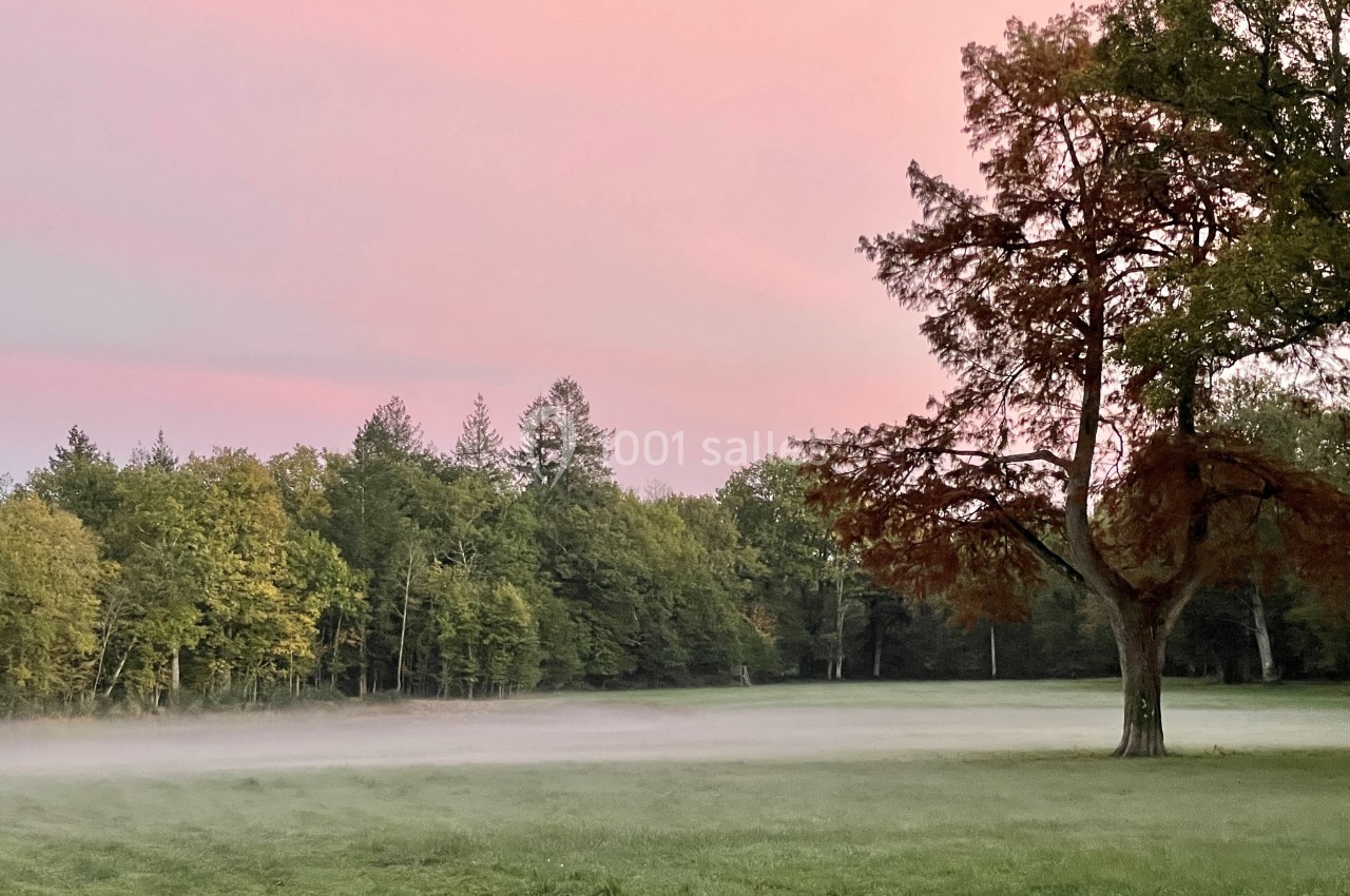 Paysage au lever du soleil avec un ciel rose, une prairie verdoyante, un arbre isolé et une légère brume au sol.