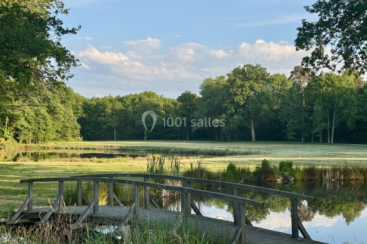 Petit pont en bois traversant un étang entouré de végétation, avec une prairie et des arbres en arrière-plan.