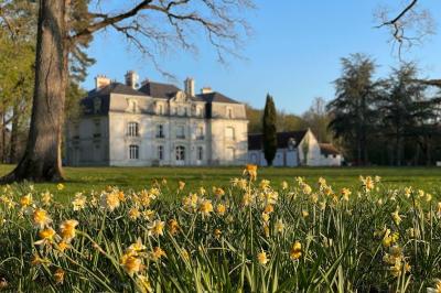 Les Hayes en Sologne