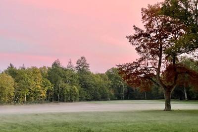 Vue aérienne d'un terrain de tennis rouge entouré de forêt, avec une petite mare et des prairies avoisinantes.