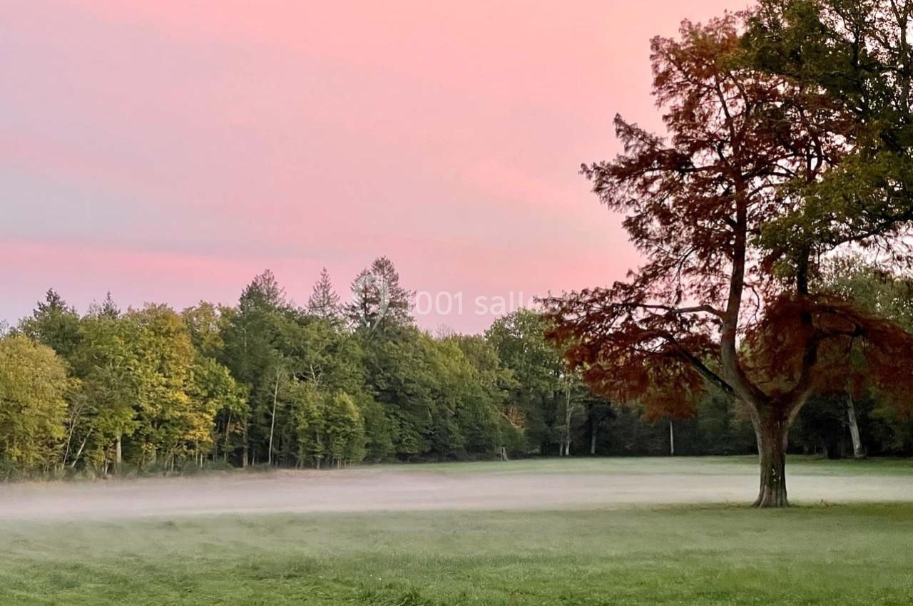 Paysage d'un champ verdoyant bordé d'arbres sous un ciel rose au coucher du soleil, avec une légère brume au sol.