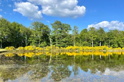 Vue aérienne d'un terrain de tennis rouge entouré de forêt, avec une petite mare et des prairies avoisinantes.