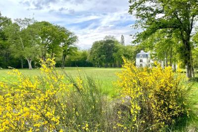 Vue aérienne d'un terrain de tennis rouge entouré de forêt, avec une petite mare et des prairies avoisinantes.