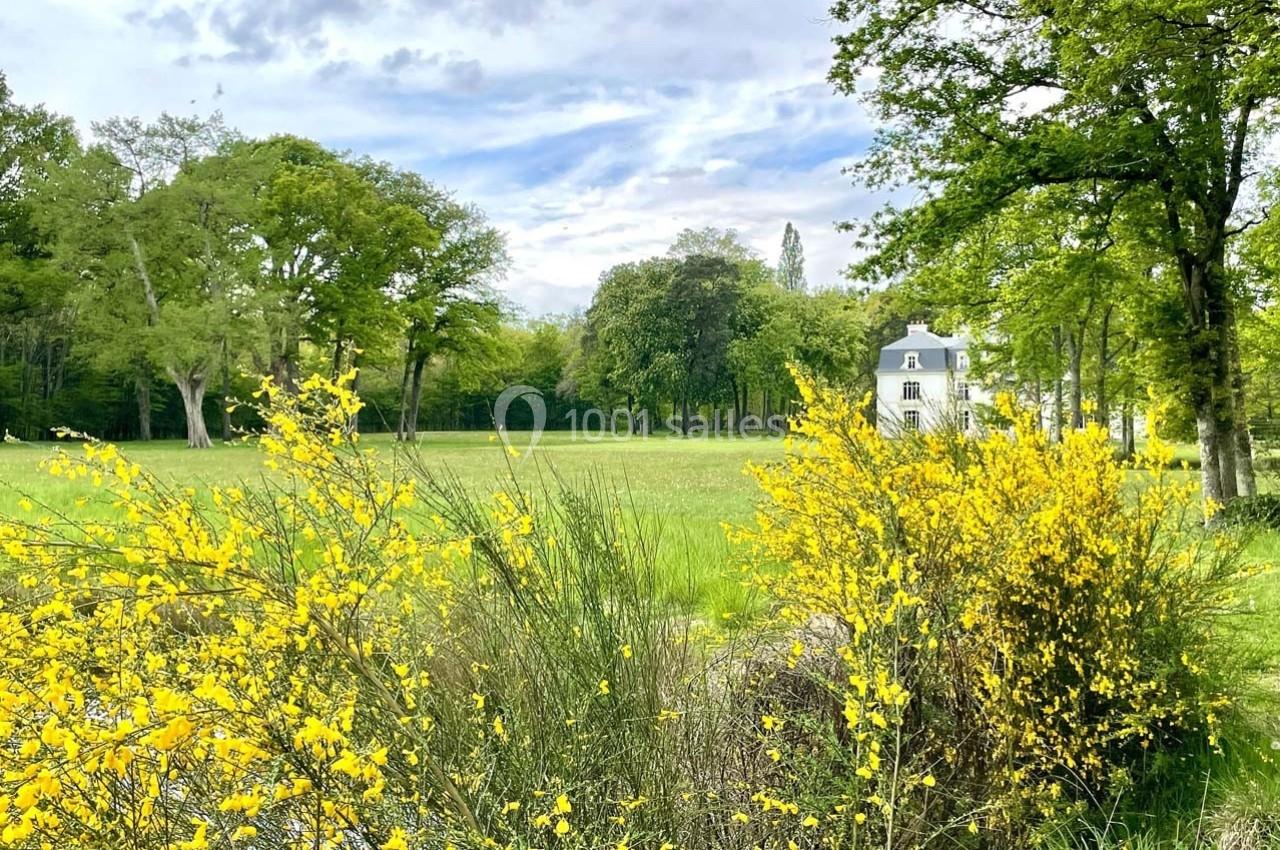 Champ verdoyant avec des arbres, des buissons de fleurs jaunes au premier plan et une maison blanche en arrière-plan.