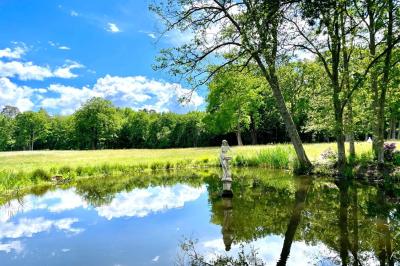 Vue aérienne d'un terrain de tennis rouge entouré de forêt, avec une petite mare et des prairies avoisinantes.
