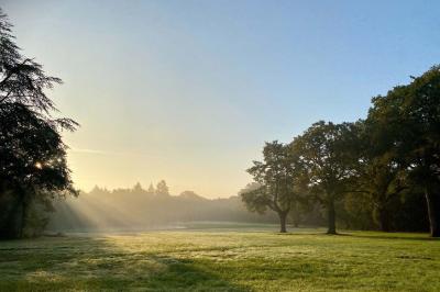 Vue aérienne d'un terrain de tennis rouge entouré de forêt, avec une petite mare et des prairies avoisinantes.