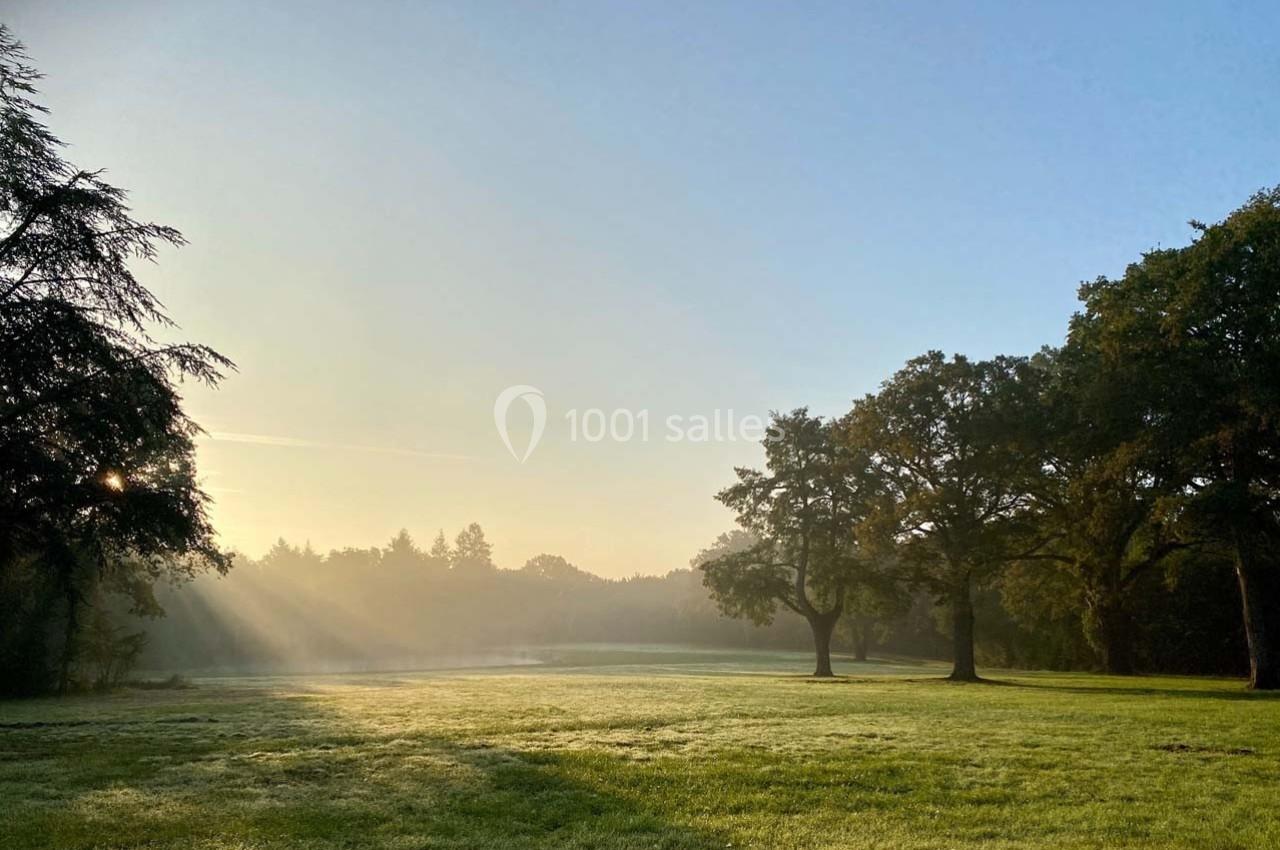 Paysage matinal avec une pelouse couverte de rosée, des arbres et des rayons de soleil perçant une légère brume.